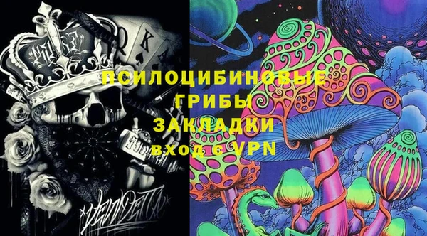 бошки Новодвинск