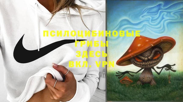 ешки Абаза