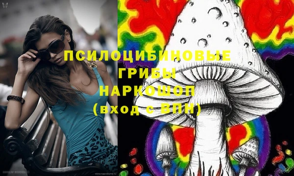 ешки Абаза